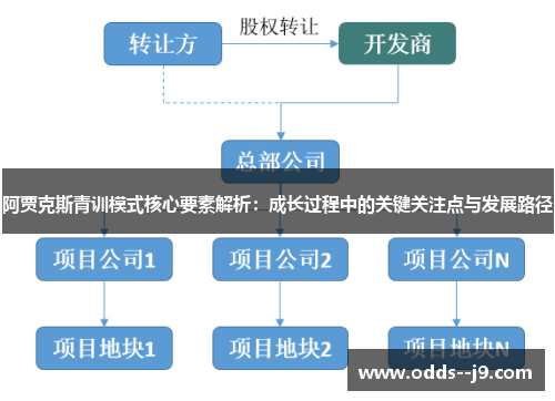 阿贾克斯青训模式核心要素解析:成长过程中的关键关注点与发展路径 阿贾克斯青训模式核心要素解析:成长过程中的关键关注点与发展路径