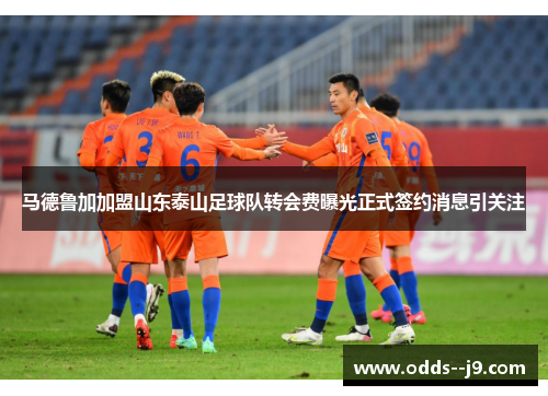 马德鲁加加盟山东泰山足球队转会费曝光正式签约消息引关注