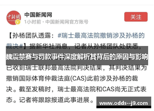 魏震禁赛与罚款事件深度解析其背后的原因与影响